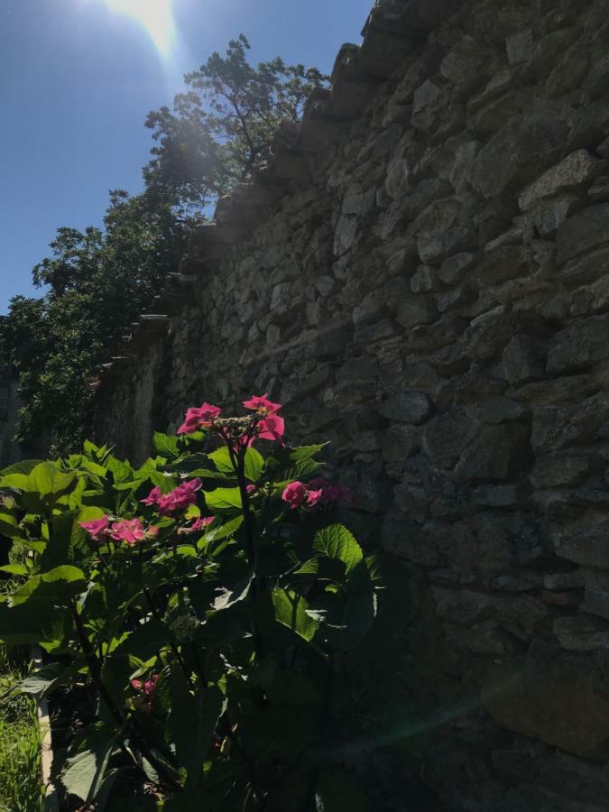 Chateau Pont Jarno B&B Champdeniers Εξωτερικό φωτογραφία
