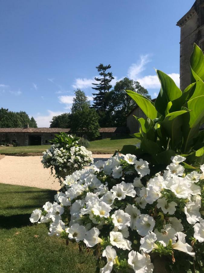 Chateau Pont Jarno B&B Champdeniers Εξωτερικό φωτογραφία